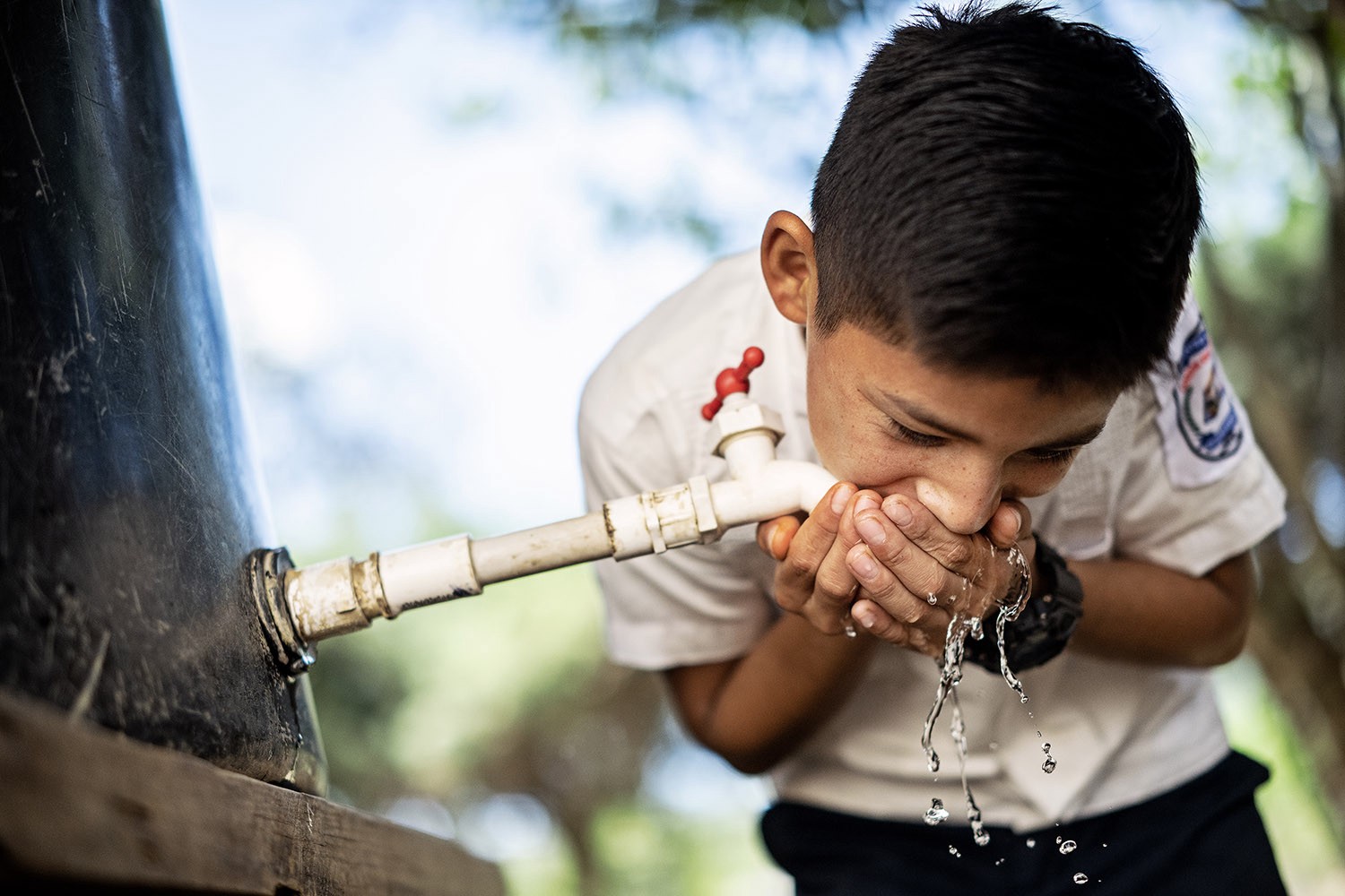 Wood for Water – Donate to help provide clean drinking water to those ...